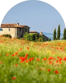 little house prairie italy single op min
