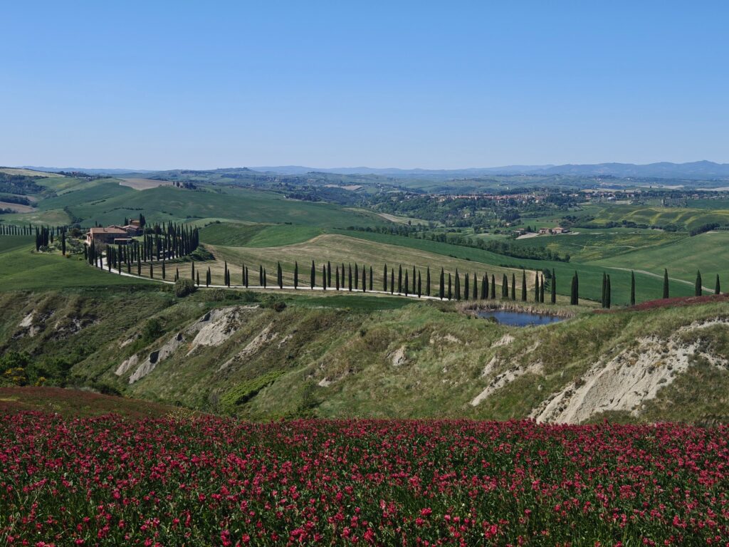 siena italy