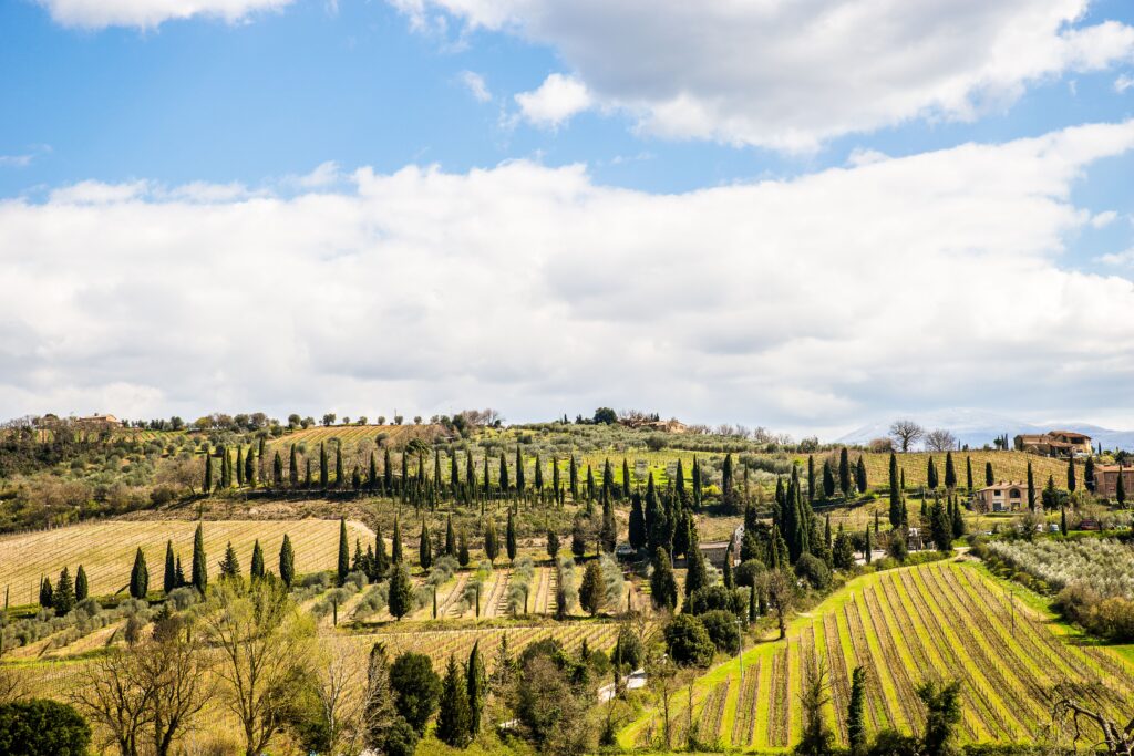 tuscan farmland